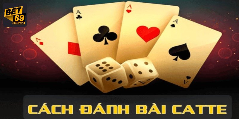 Khái quát về bài catte
