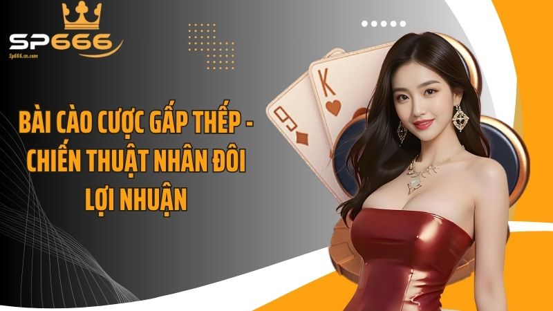 Bài Cào Cược Gấp Thếp
